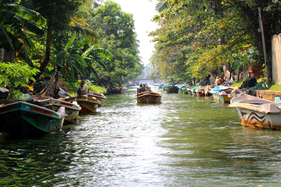 Negombo: Boottocht & vismarkt